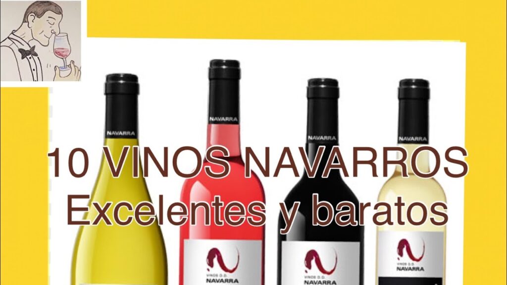 Descubre los exquisitos vinos de Navarra